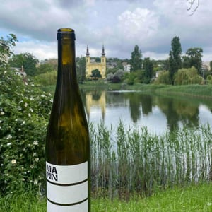 Weiss - Weingut Mann - Andi Mann 