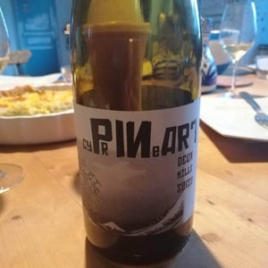 Cyprineart - Benoit Delorme - Benoit Delorme 