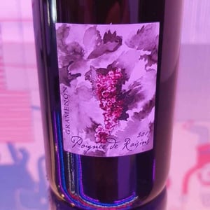 Poignée de Raisin - Domaine Gramenon - Michèle Aubéry-Laurent & Maxime-Francois Laurent 