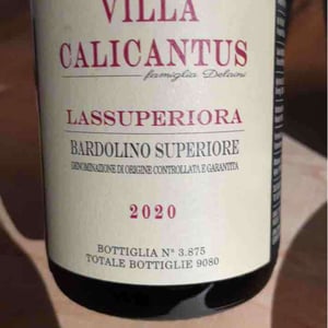 LASSUPERIORA - Villa Calicantus - Daniele e Chiara Delaini 