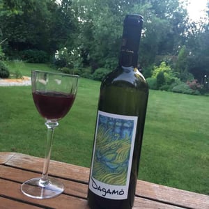 Dagamò - Cantina Al di là del Fiume - danila-mongardi-gabriele-monti