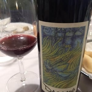 Cantina Al di là del Fiume - Danila Mongardi & Gabriele Monti - Dagamò