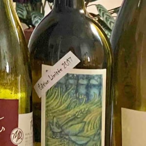 Cantina Al di là del Fiume - Danila Mongardi & Gabriele Monti - Dagamò