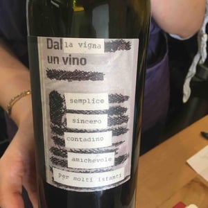 Dalla Vigna Un Vino - Monte dall'Ora - Alessandra Zantedeschi & Carlo Venturini -2022