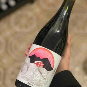 Dalvik - Domaine Dubois Benjamin - benjamin-dubois -2022