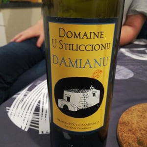 Domaine U Stiliccionu - Sébastien Poly-Casablanca - Damianu