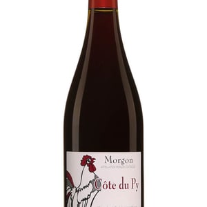 Morgon Côtes du Py Vieilles Vignes - Damien Coquelet - damien-coquelet