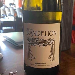 Dandelion - Nanclares y Prieto - Alberto Nanclares & Silvia Prieto -2021