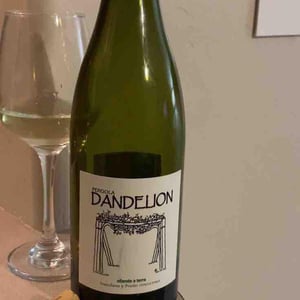 Dandelion - Nanclares y Prieto - alberto-nanclares-silvia-prieto -2021