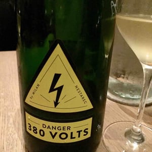 Danger 380 Volts - Milan Nestarec - Milan Nestarec 