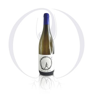 dans l'absolu - Vignoble des Vernusses - loren-petit -2023