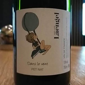 Dans Le Vent - Anne-Laure Laengel - Anne-Laure Laengel 