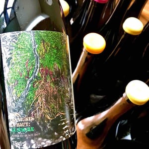 Dans les vignes là-haut : la jungle - Les Vins Du Fab - Fabien Henriot -2022