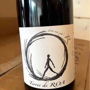 Vignoble des Vernusses - Loren PETIT - dans ma sphère