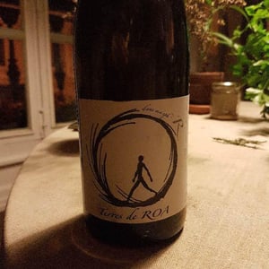 dans ma sphère - Vignoble des Vernusses - loren-petit -2022