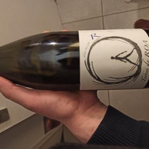 dans ma sphère - Vignoble des Vernusses - Loren PETIT -2022
