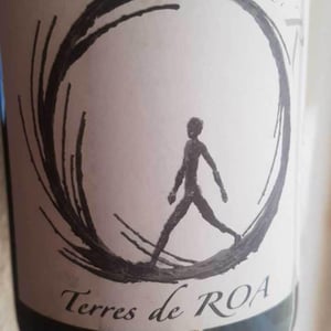 dans ma sphère - Vignoble des Vernusses - Loren PETIT -2022