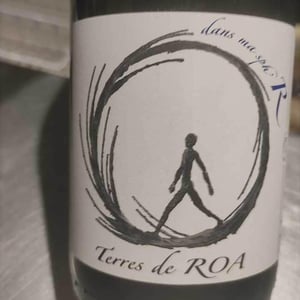 dans ma sphère - Vignoble des Vernusses - loren-petit -2022