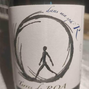 dans ma sphère - Vignoble des Vernusses - loren-petit -2022