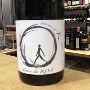 dans ma sphère - Vignoble des Vernusses - loren-petit -2022