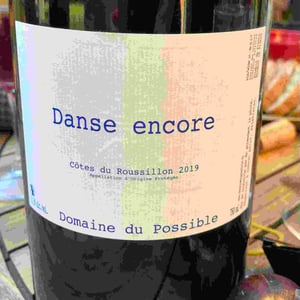 Domaine du Possible - Loïc Roure - Danse Encore