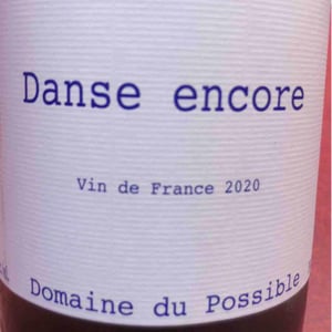 Domaine du Possible - Loïc Roure - Danse Encore