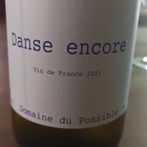 Domaine du Possible - Loïc Roure - Danse Encore