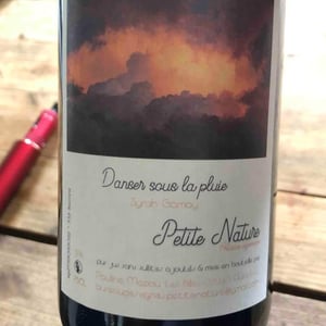Danser Sous La Pluie - Petite Nature - pauline-maziou -2021