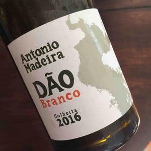 Dão Branco Colheita - António Madeira - António Madeira 