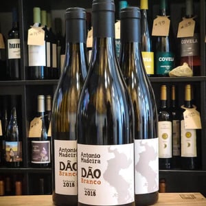 Dão Branco - António Madeira - antonio-madeira