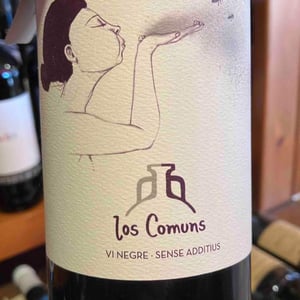 Carinyos - Los Comuns - jordi-escoda-agusti-perello -2019