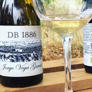 DB 1886 - Puerta del Viento - jorge-vega