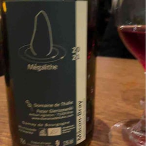 Mégalithe - Domaine De Thalie - Peter Gierszewski 