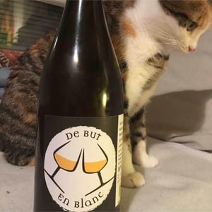 De But En Blanc (label 2021) - Clos Mathélisse - David Caer 