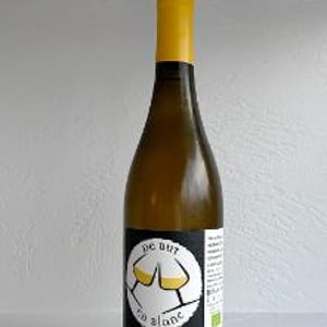 De But En Blanc (label 2021) - Clos Mathélisse - david-caer
