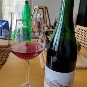 De Rien - Domaine de l'Alezan - Remi & Patricia Bonneton 