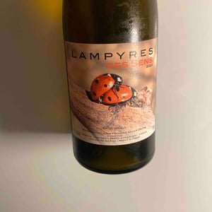 Des Sens - Domaine Lampyres - francois-xavier-daure