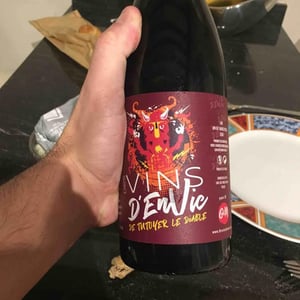 Des Vins D’Envie - Guillaume Lavie & Maxime Dancoine - De Tutoyer Le Diable