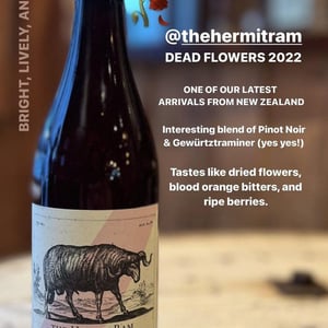 Dead Flowers - The Hermit Ram - Theo Coles -2022