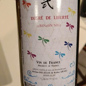 Degré De Liberté - Keiko & jérôme - keiko-araki-et-jerome-deleuze