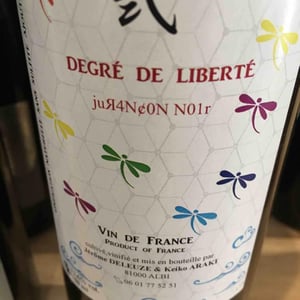 Keiko & jérôme - Keiko Araki et Jérôme Deleuze - Degré De Liberté