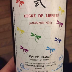Degré De Liberté - Keiko & jérôme - keiko-araki-et-jerome-deleuze