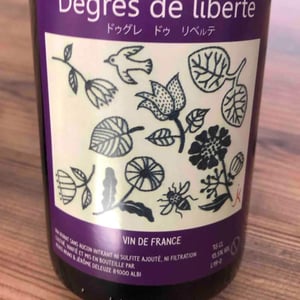 Keiko & jérôme - Keiko Araki et Jérôme Deleuze - Degré De Liberté
