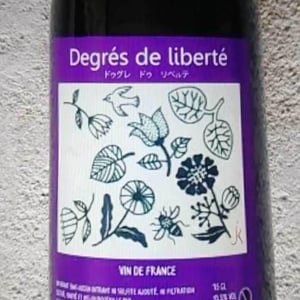 Keiko & jérôme - Keiko Araki et Jérôme Deleuze - Degré De Liberté