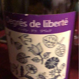 Degré De Liberté - Keiko & jérôme - keiko-araki-et-jerome-deleuze