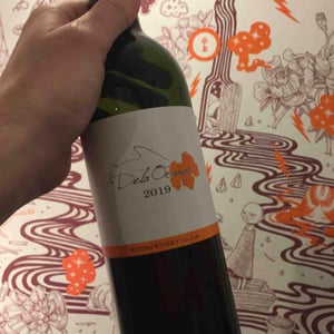 Dela Orange - Hitomi Winery - Naoki Yamada 