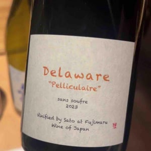 Delaware “Pelliculaire” sans soufre by Sato - Fujimaru Brewery (Shimanouchi / Kiyosumi Shirakawa) - Satoshi Fujimaru -2023