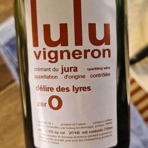 Délire Des Lyres - Lulu Vigneron - ludwig-bindernagel