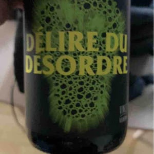 Délire Du Désordre - No Control - Vincent Marie 