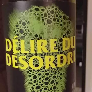 Délire Du Désordre - No Control - vincent-marie